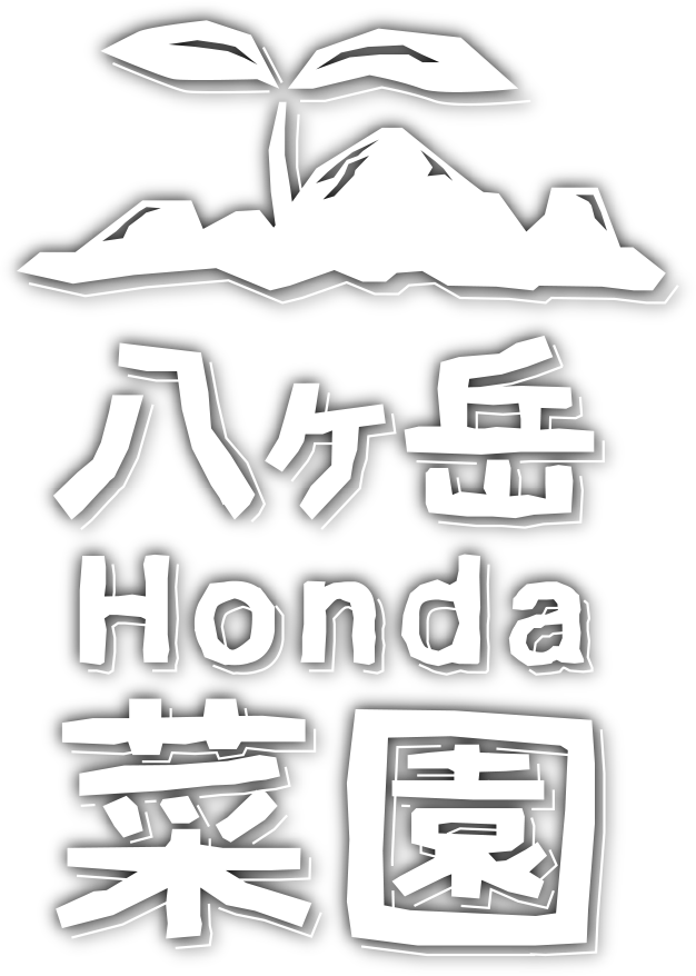 八ヶ岳Honda菜園